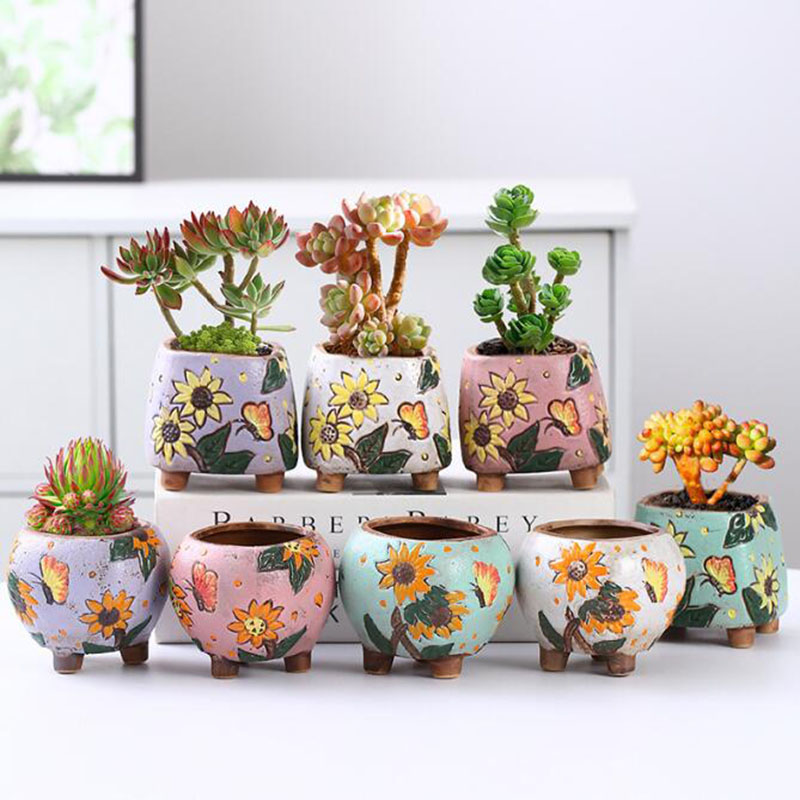 Echeveria Succulent - Pot Tanaman Sukulen Pola Bunga Matahari