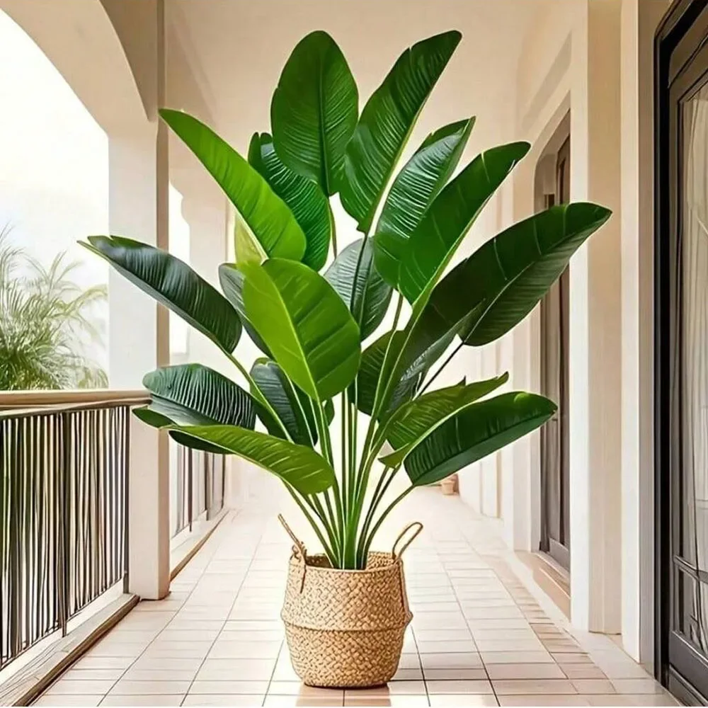 Monstera Adansonii - 1 Buah 18 Daun Tanaman Buatan