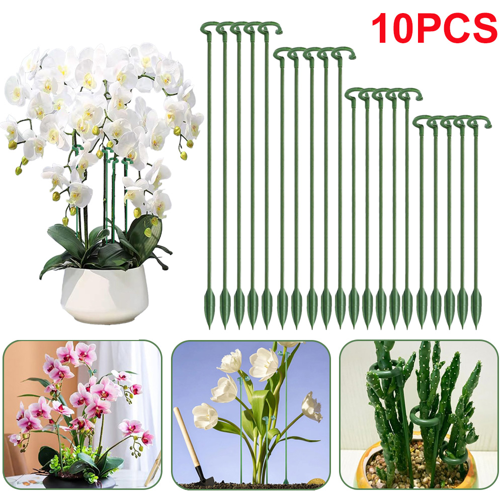 Echeveria Succulent - 5/10 Buah Penyangga Tanaman, Penahan Pot