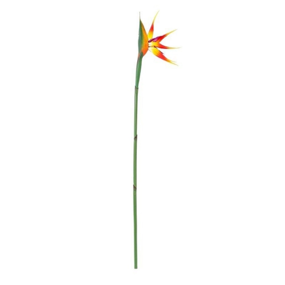 Bunga Strelitzia Buatan Tangka - Bird Paradise Strelitzia ulasan dan harga