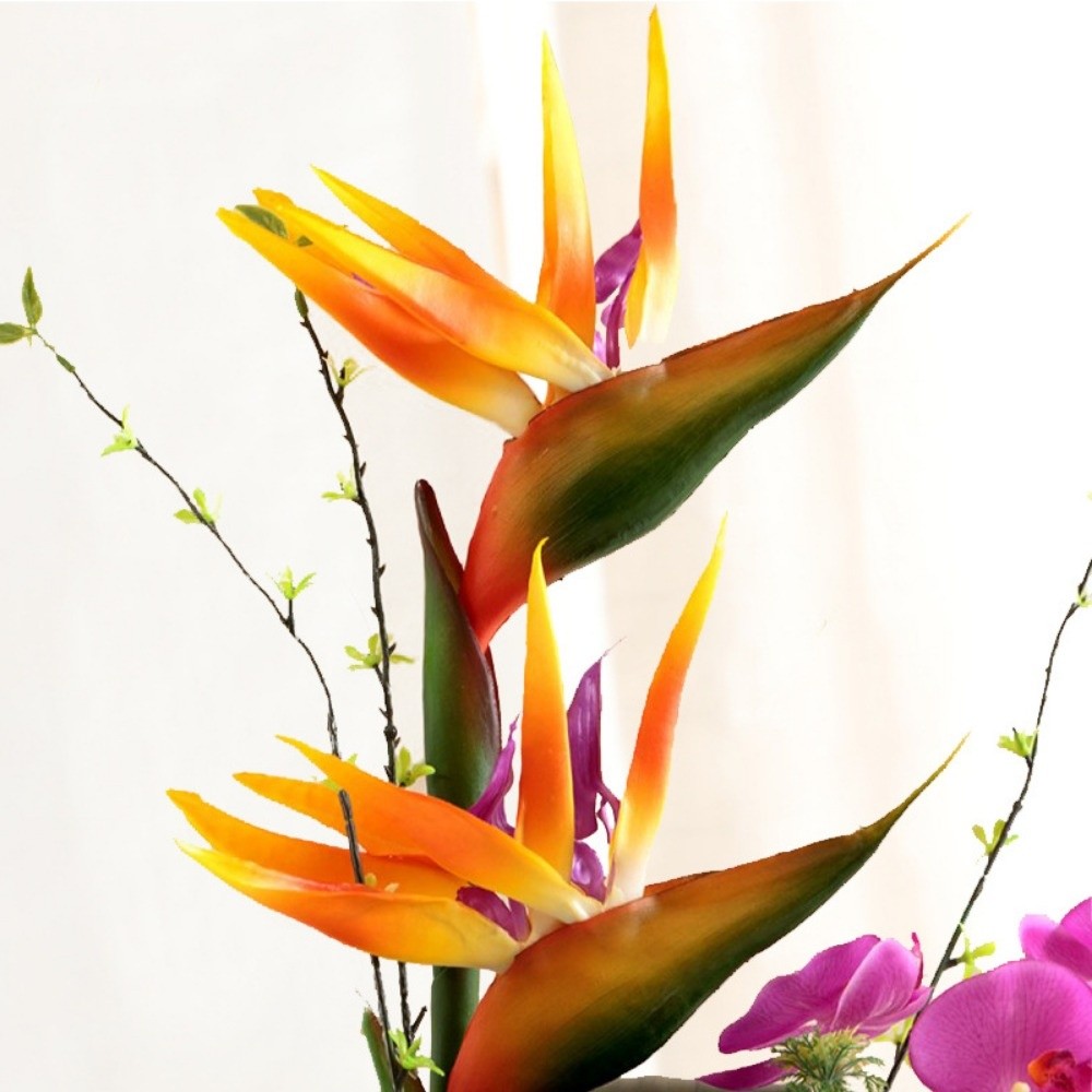 Bunga Strelitzia Buatan Tangka - Bird Paradise Strelitzia ulasan dan harga