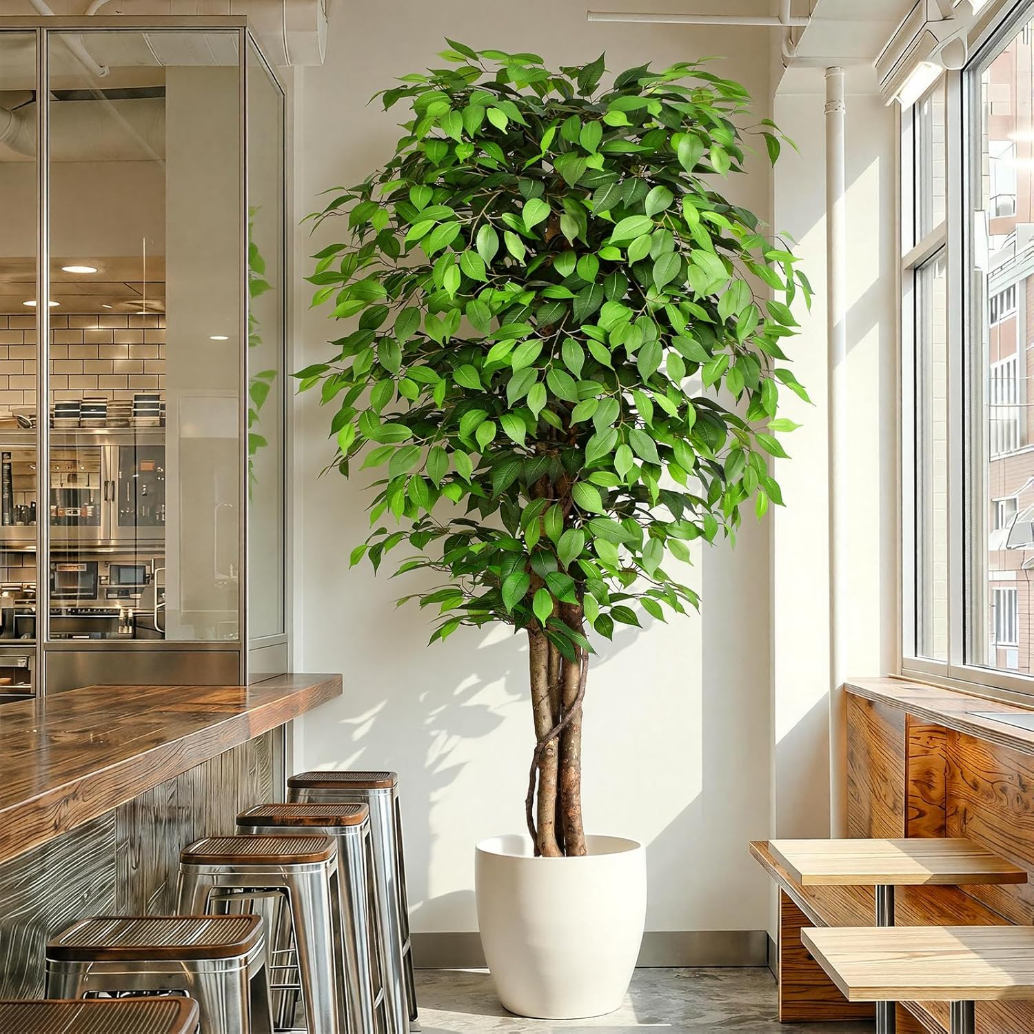 Pohon Ficus Buatan yang Mirip  - Monstera Adansonii ulasan dan harga