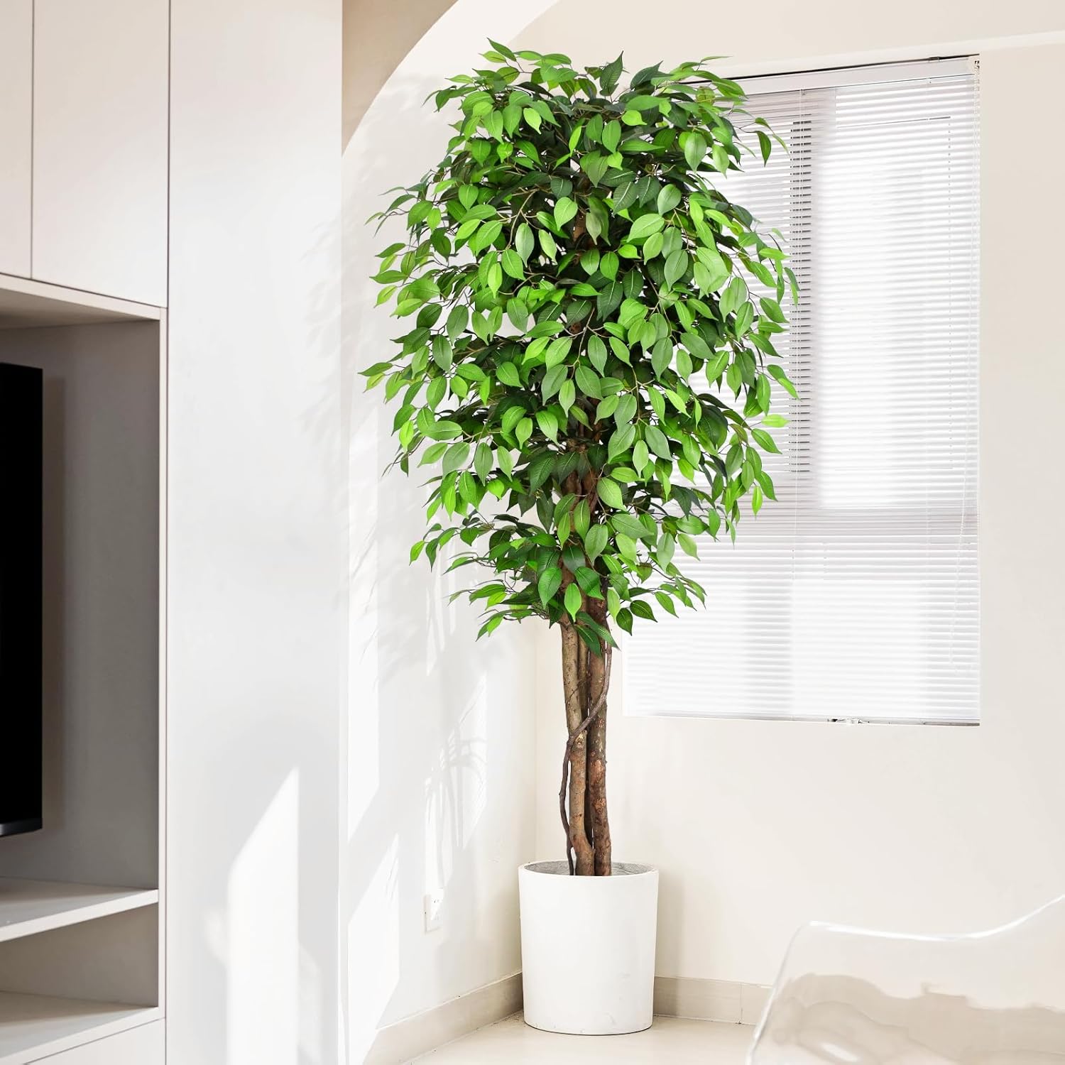 Pohon Ficus Buatan yang Mirip  - Monstera Adansonii ulasan dan harga
