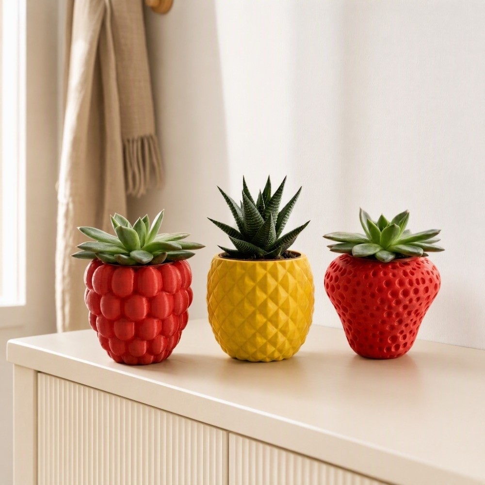 Pot Bunga Buah Plastik Cetak 3 - Echeveria Succulent ulasan dan harga