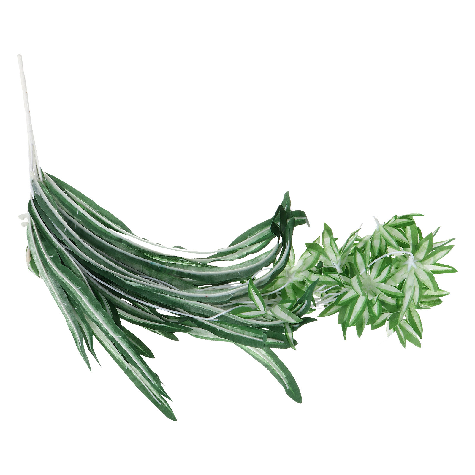 1 buah tanaman laba-laba plast - Spider Plant Hanging ulasan dan harga