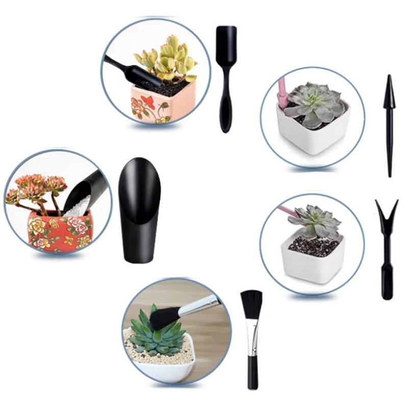 Set alat berkebun Mini, papan  - Echeveria Succulent ulasan dan harga