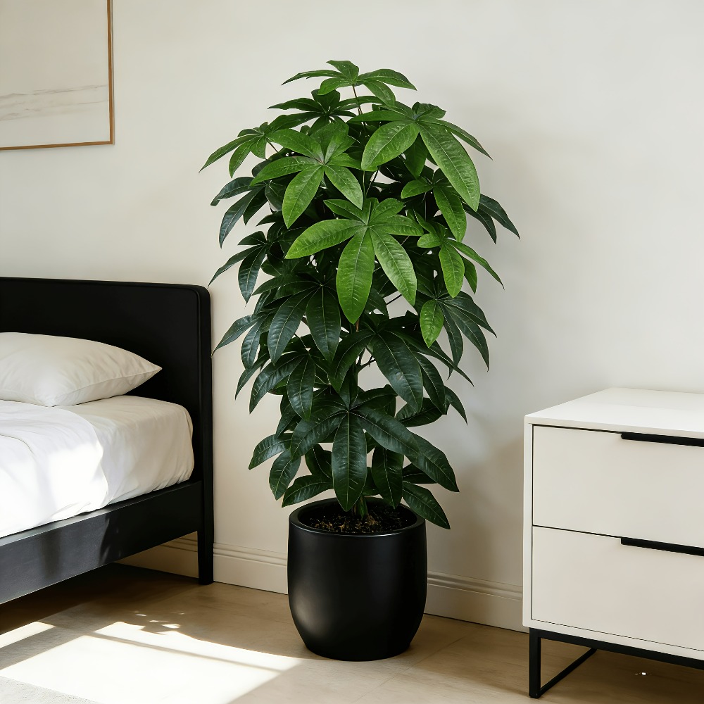 Pohon Uang Buatan Pachira Aqua - Monstera Adansonii ulasan dan harga