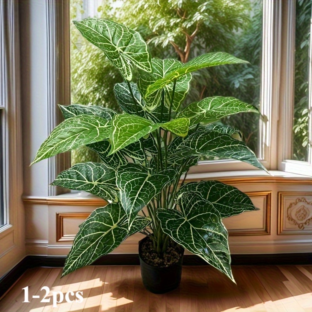 1 Buah 24 Daun Daun Taro Hijau - Monstera Adansonii ulasan dan harga