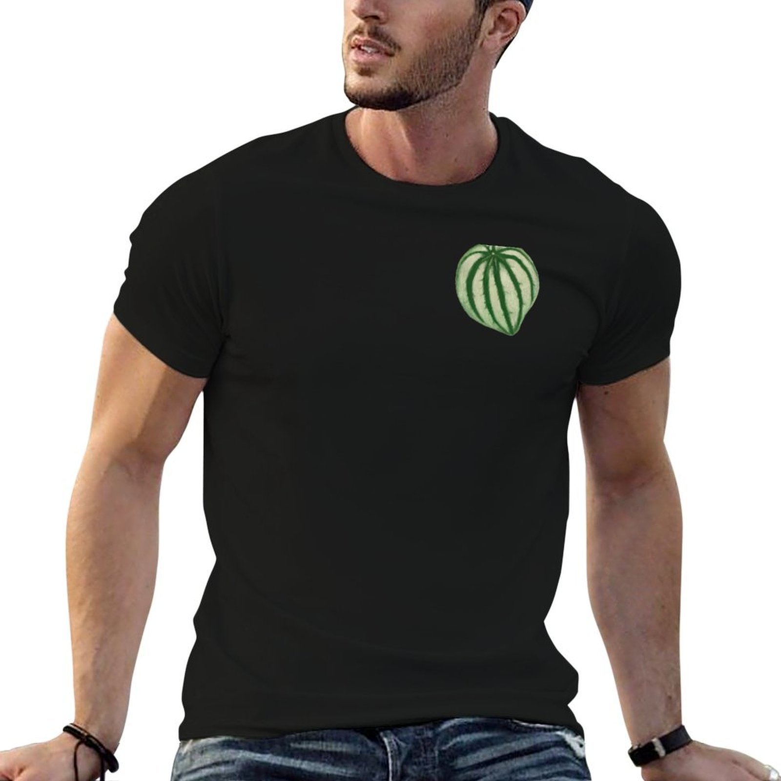 Kaos dengan motif semangka dan - Peperomia Watermelon ulasan dan harga