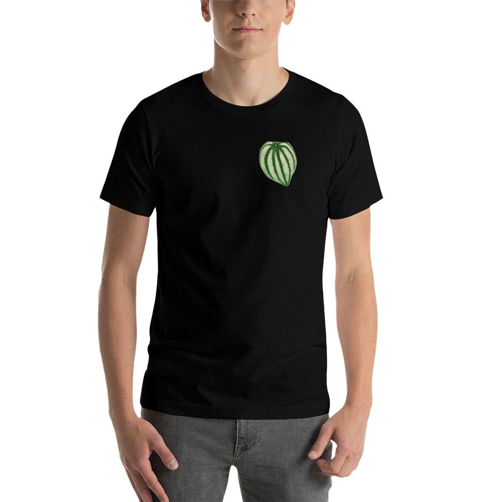 Kaos dengan motif semangka dan - Peperomia Watermelon ulasan dan harga